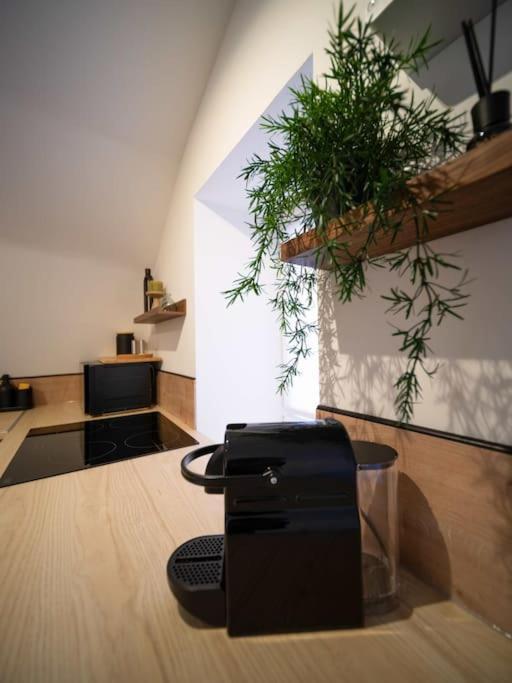 Le Cocon - Petit Studio 2 Couchages - Centre Historique Aubagne Εξωτερικό φωτογραφία